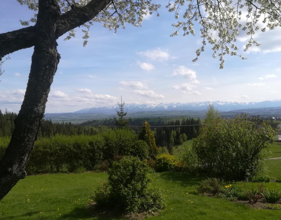 Buflaczanka Nowy Targ Esterno foto